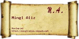 Mingl Aliz névjegykártya